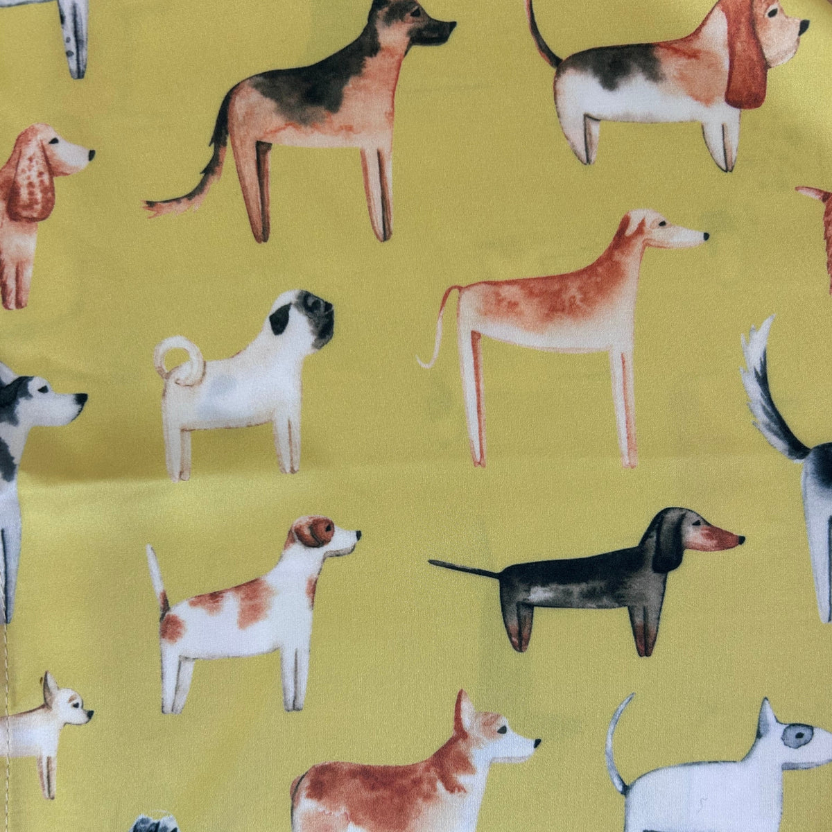 Lots of Dogs Acacia Gold Silk Scarf