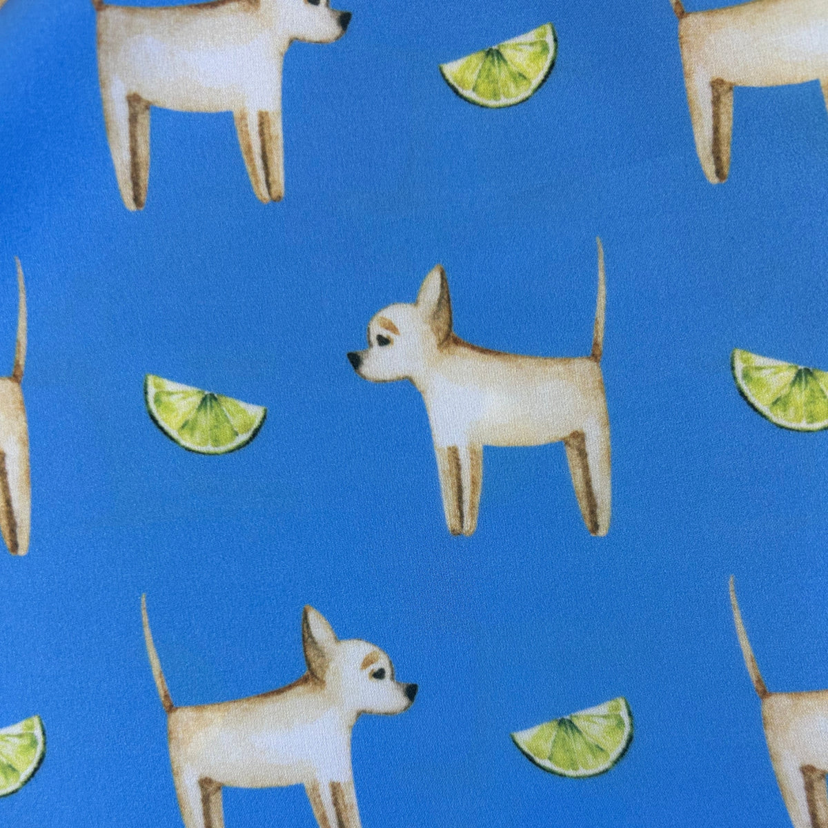Chihuahua Marina Blue Silk Scarf