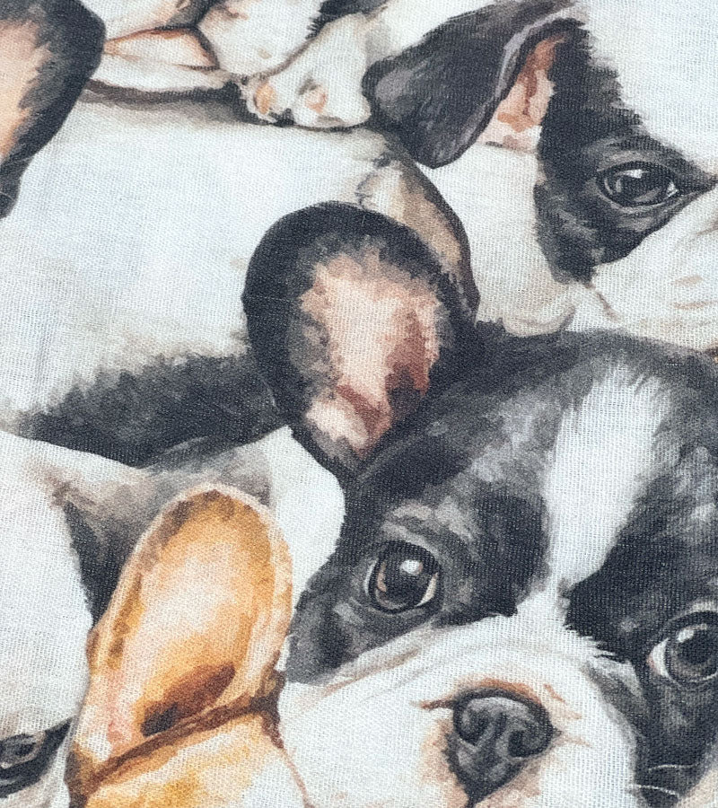 French bulldog - Scarf