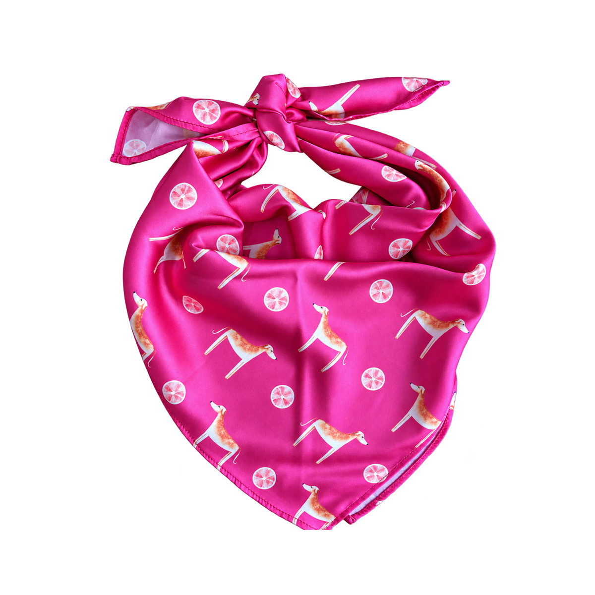 Africanis Teaberry Pink Silk Scarf