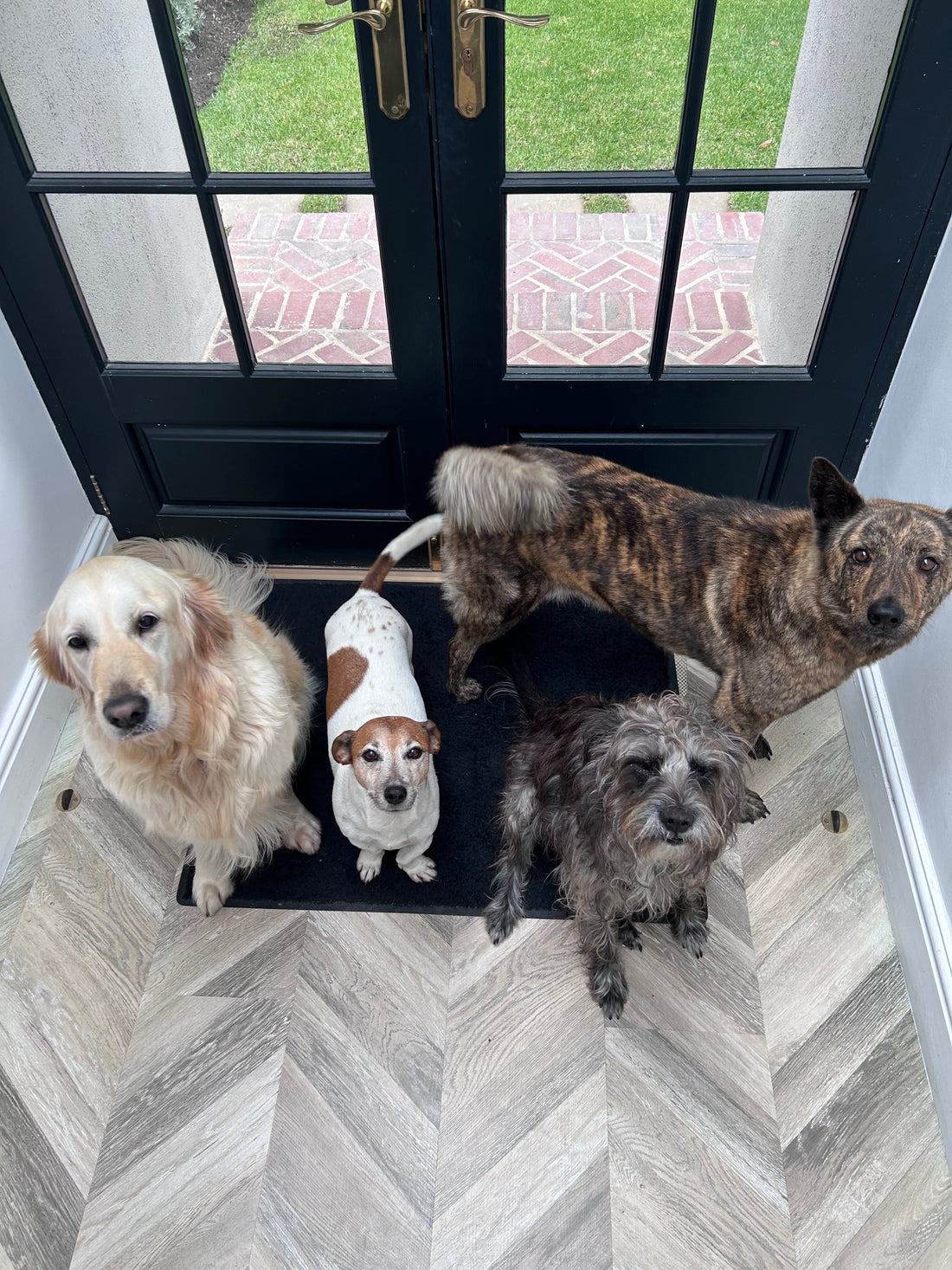 Pet Project Gifts
