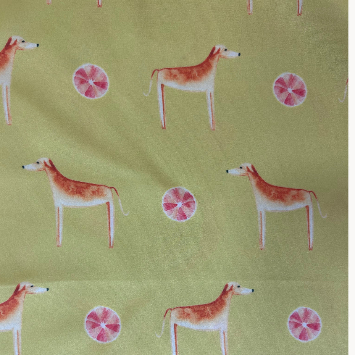 Africanis Acacia Gold Silk Scarf
