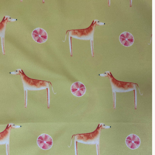 Africanis Acacia Gold Silk Scarf
