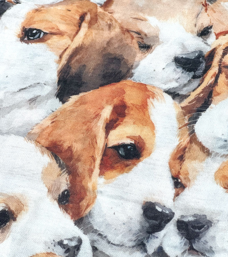 Beagle - Scarf