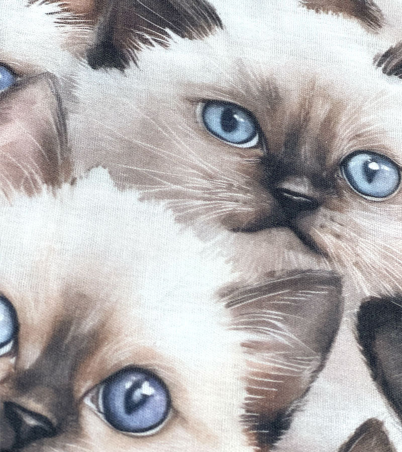 Birman Cat - Scarf