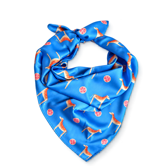 Africanis Marina Blue Silk Scarf
