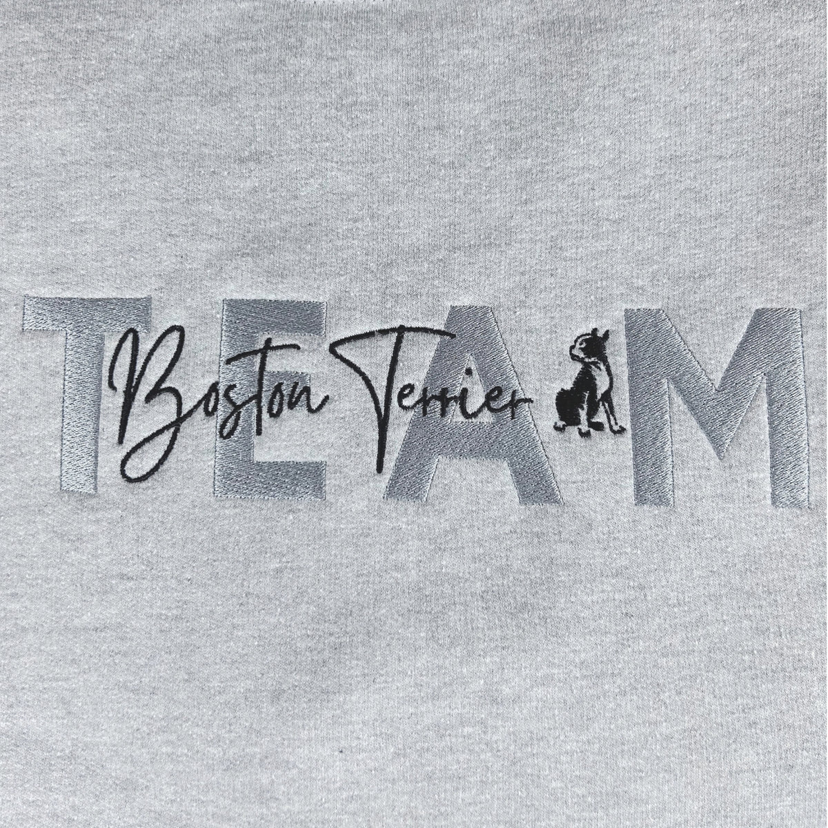 Team Boston Terrier