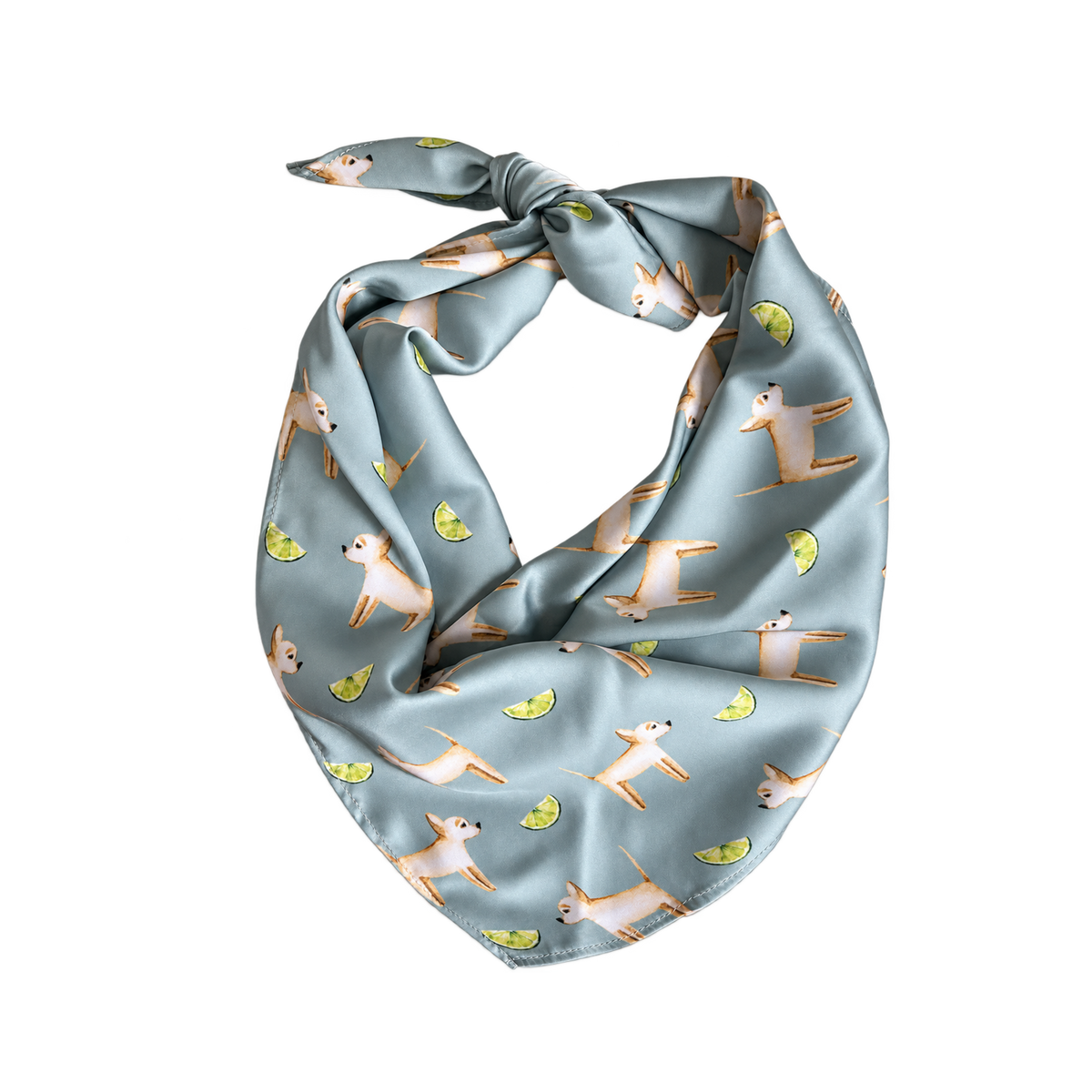 Chihuahua Sage Green Silk Scarf