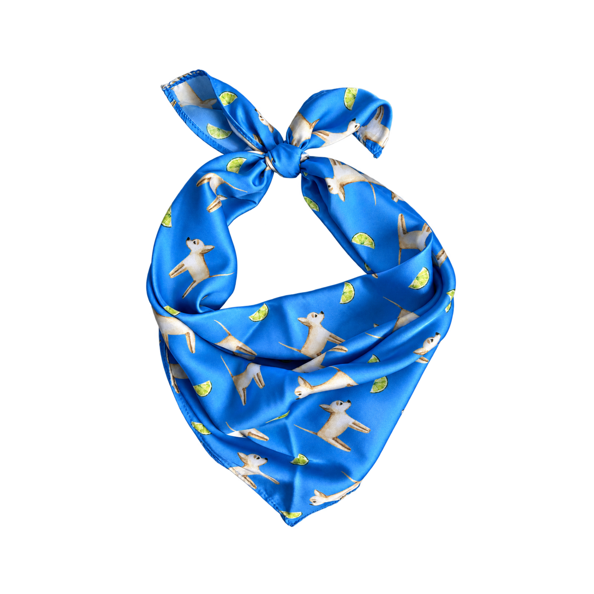 Chihuahua Marina Blue Silk Scarf
