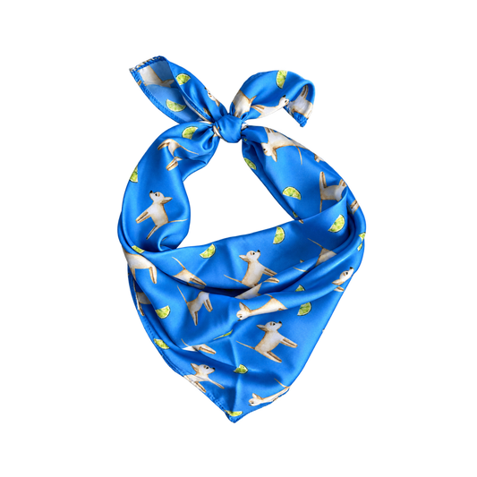 Chihuahua Marina Blue Silk Scarf