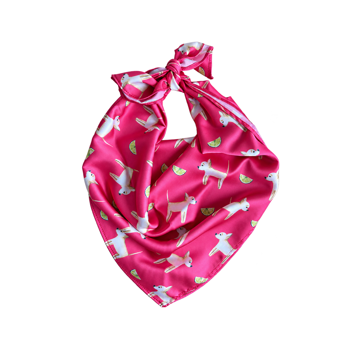 Chihuahua Teaberry Pink Silk Scarf