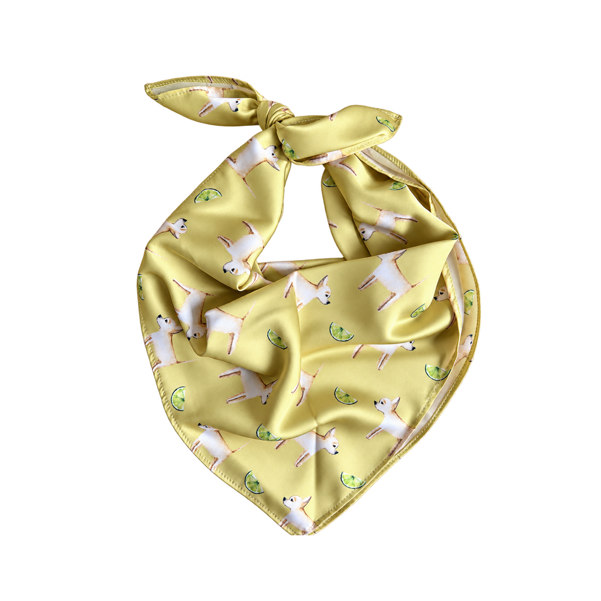 Chihuahua Acacia Gold Silk Scarf