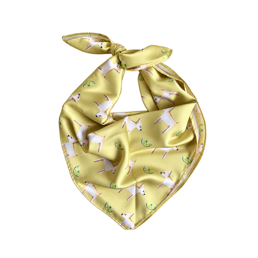 Chihuahua Acacia Gold Silk Scarf