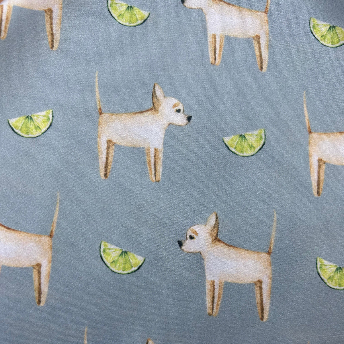 Chihuahua Sage Green Silk Scarf