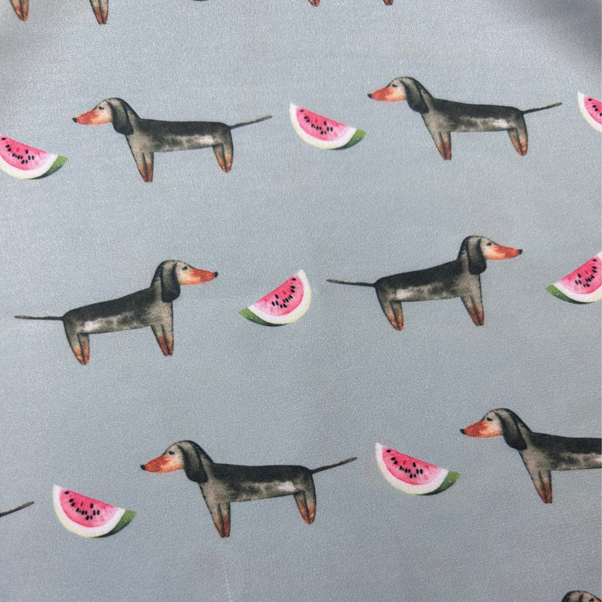 Dachshund Sage Green Silk Scarf