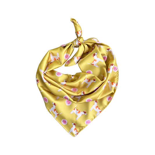Jack Russell Acacia Gold Silk Scarf