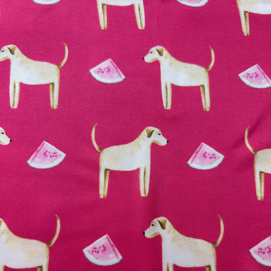 Lab / Golden Teaberry Pink Silk Scarf