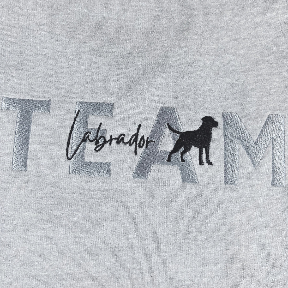 Team Labrador