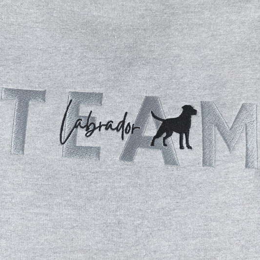 Team Labrador