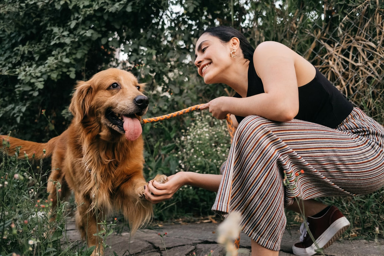 Woman playing with a golden dog outdoors