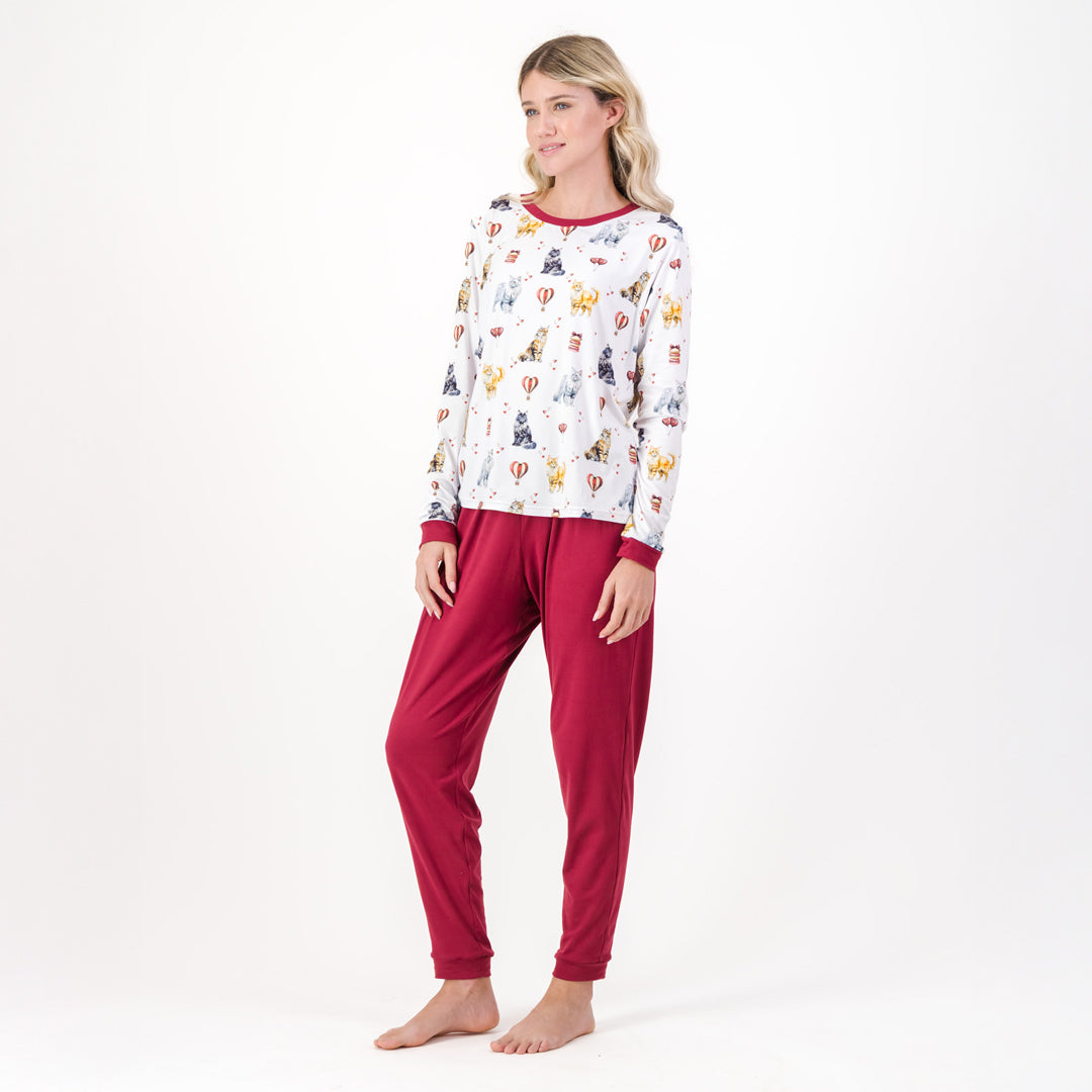 Maine Coon Cat - Winter Pjs