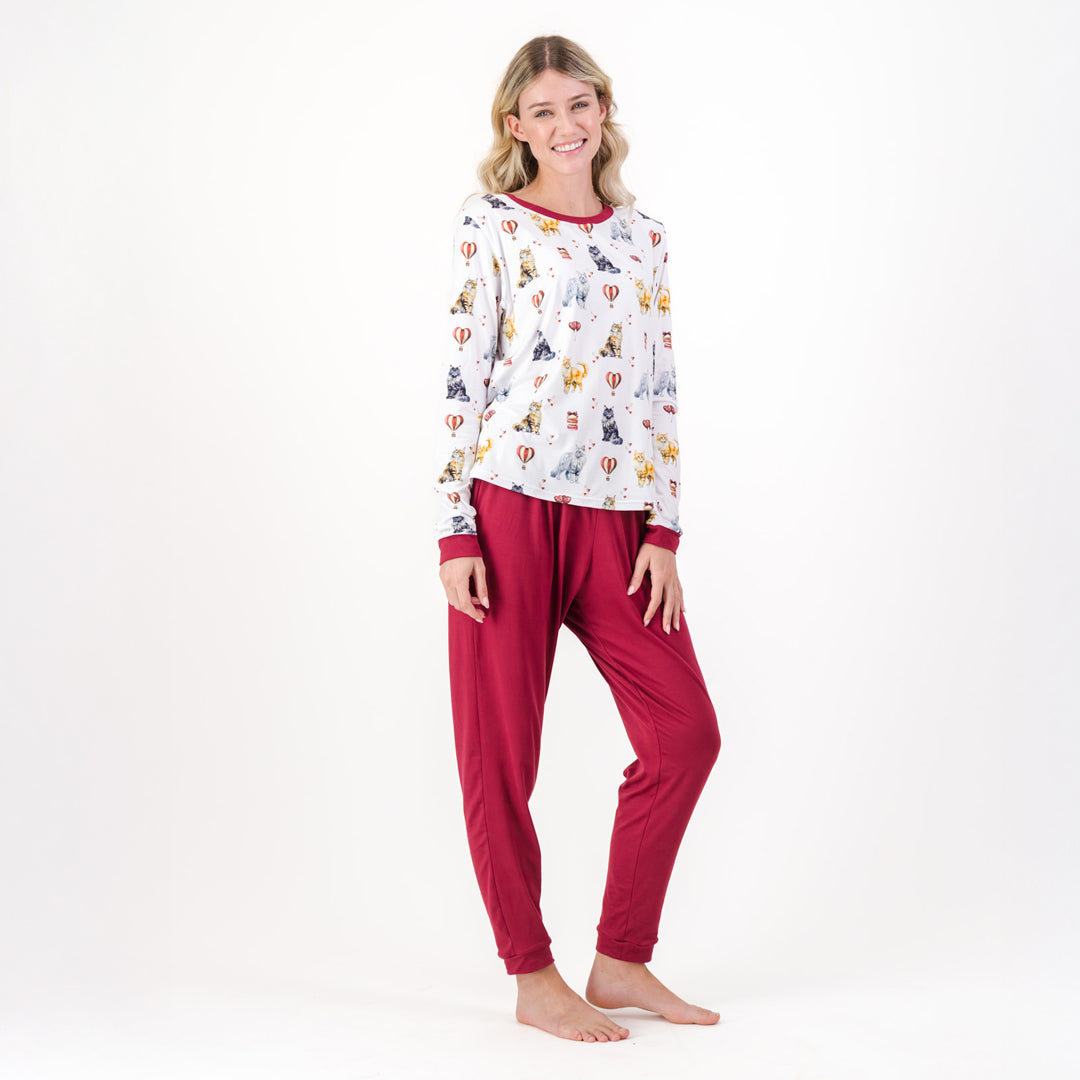 Maine Coon Cat - Winter Pjs