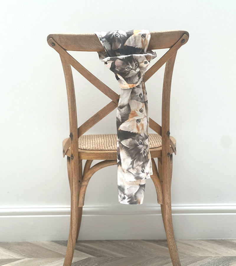 Maine Coon Cat - Scarf