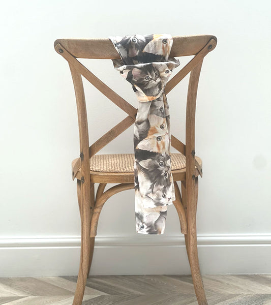 Maine Coon Cat - Scarf