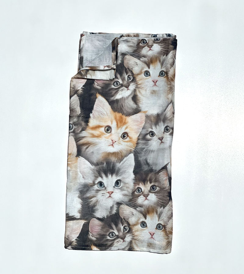 Maine Coon Cat - Scarf