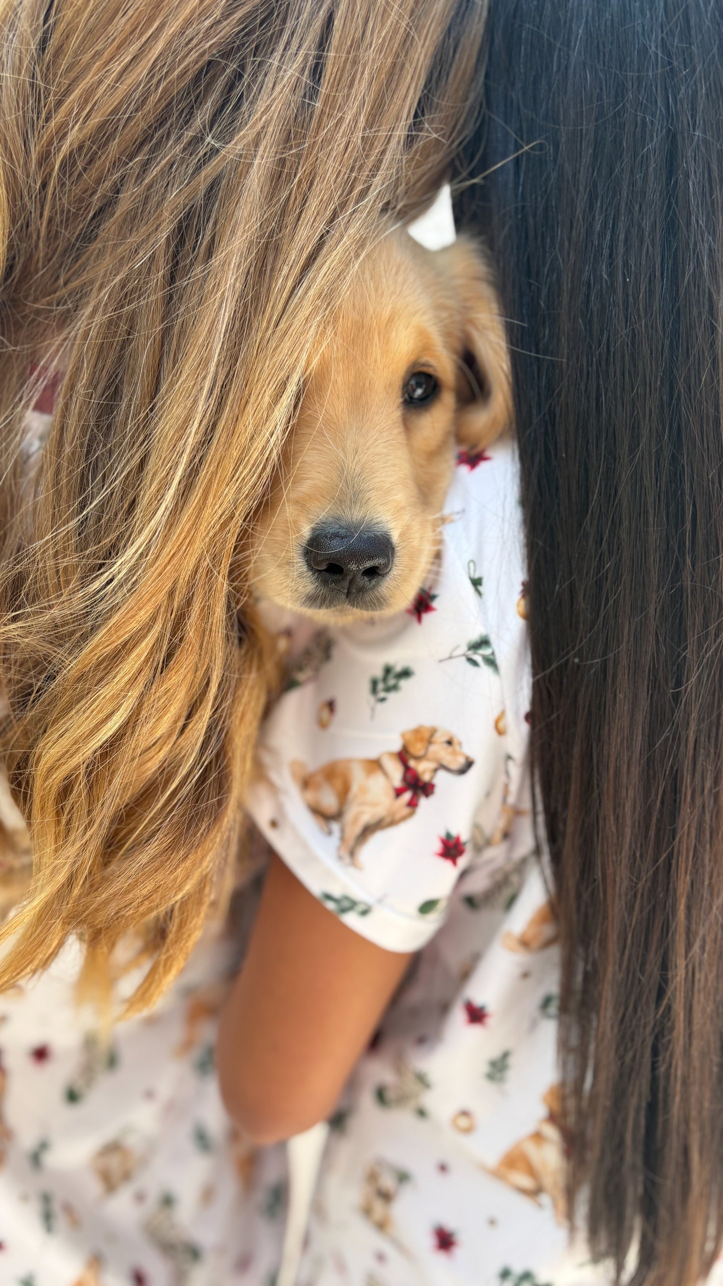 Golden Retriever Christmas Pajamas