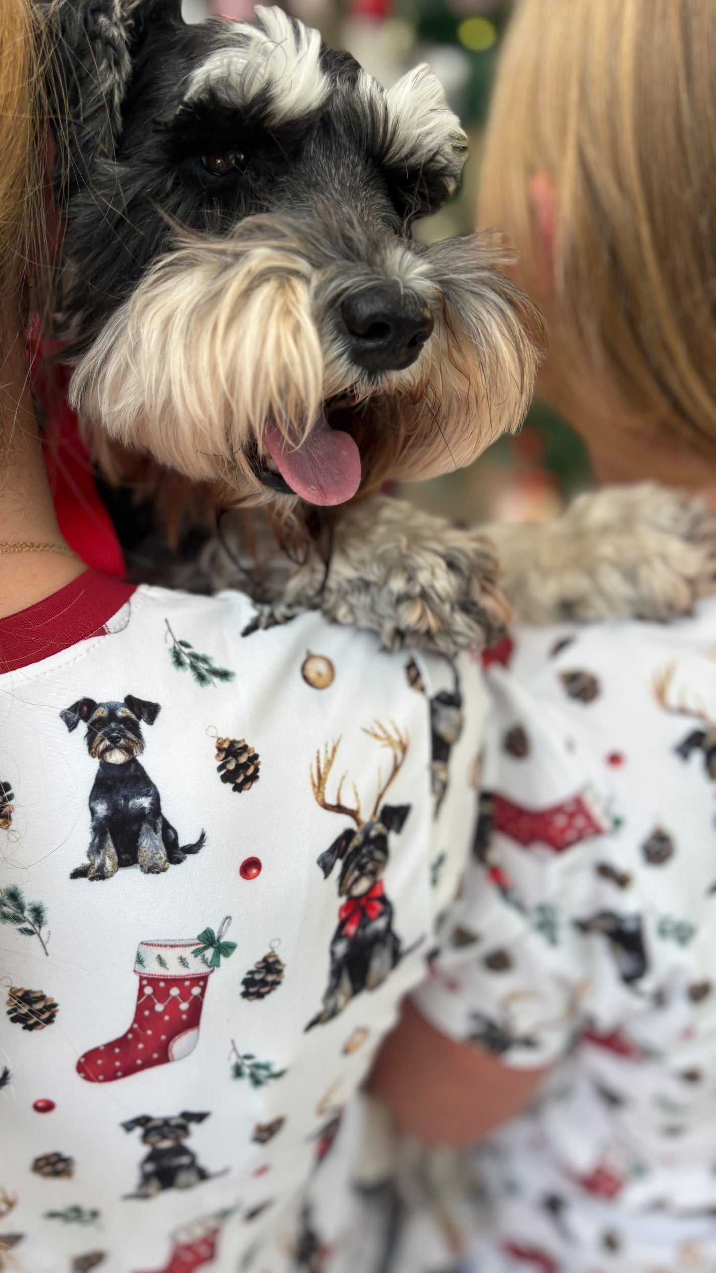Schnauzer Christmas Pajamas
