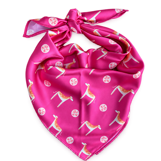Africanis Teaberry Pink Silk Scarf