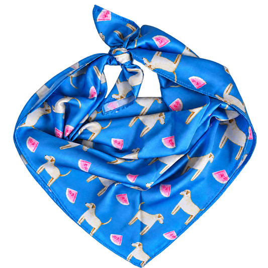 Lab / Golden Marina Blue Silk Scarf