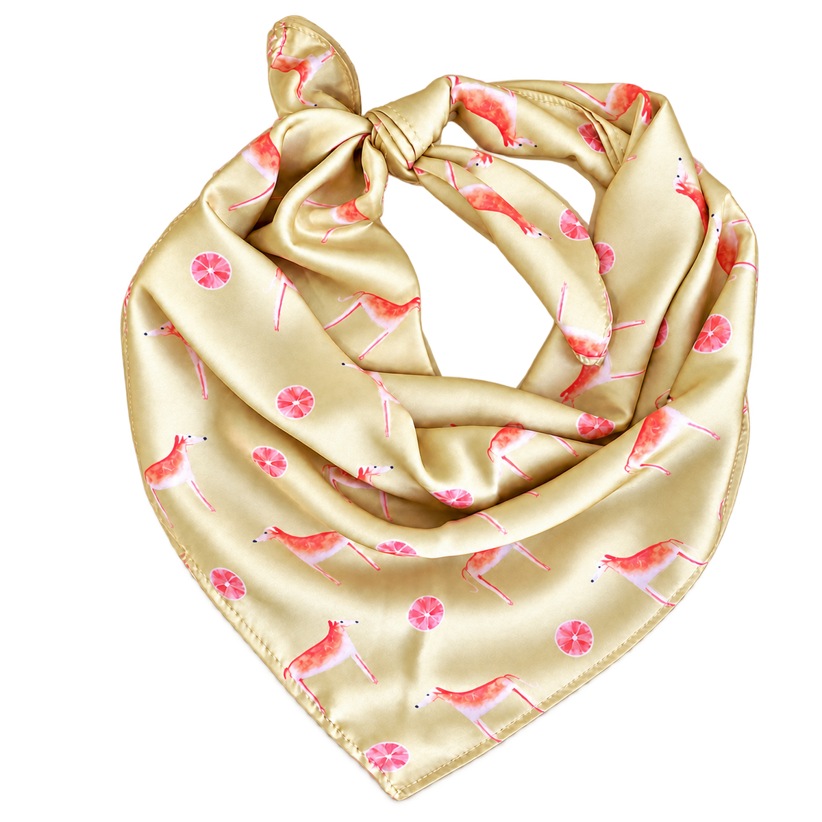 Africanis Acacia Gold Silk Scarf