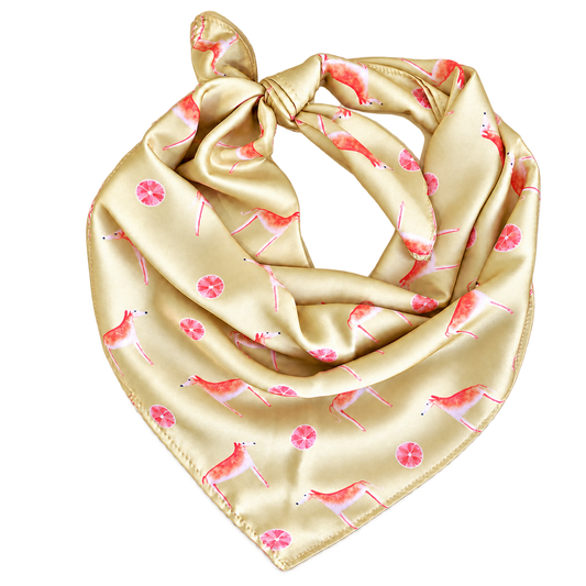 Africanis Acacia Gold Silk Scarf