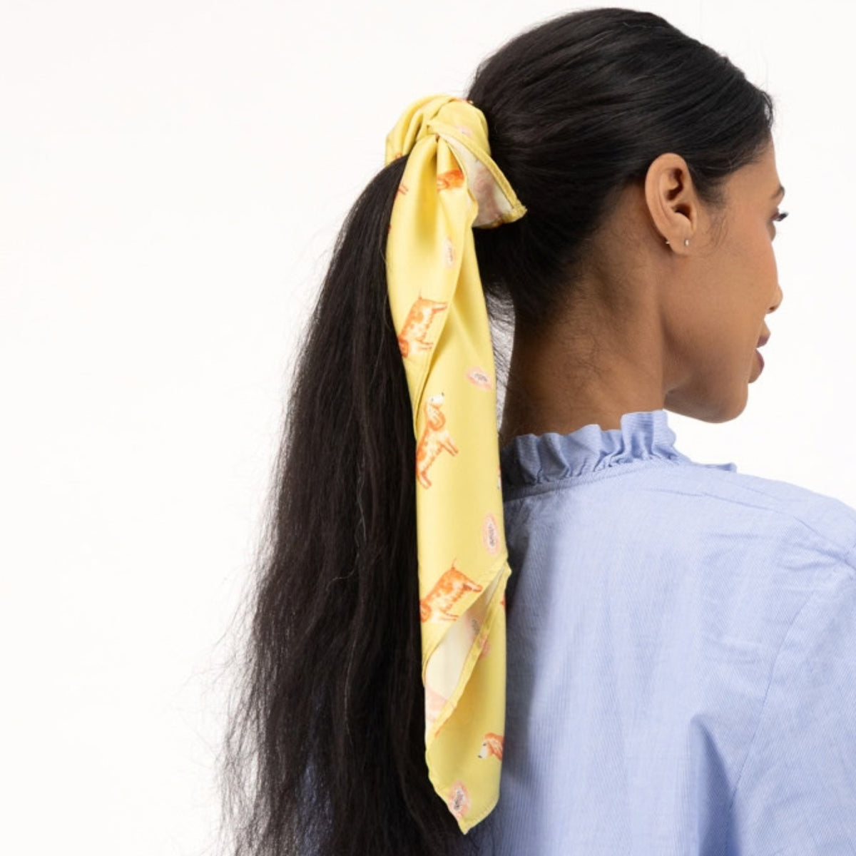 Spaniel Acacia Gold Silk Scarf