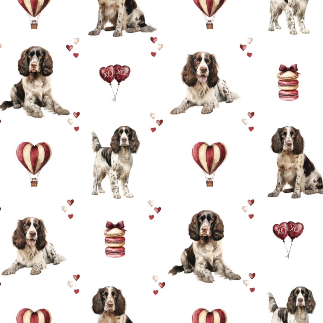Pre-Order Pjs - Springer Spaniel