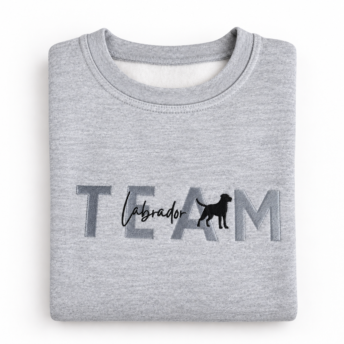 Team Labrador