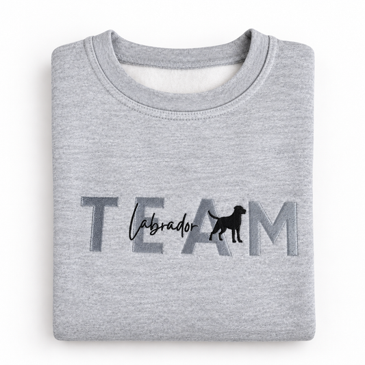 Team Labrador