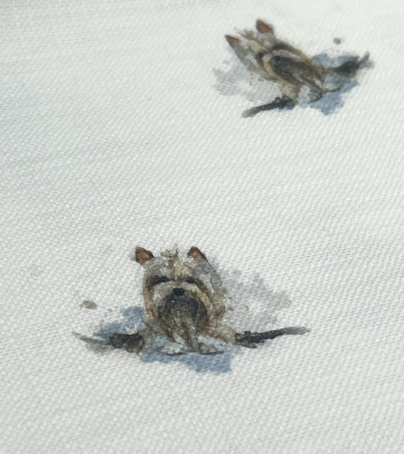 Yorkie dog-patterned cushion fabric