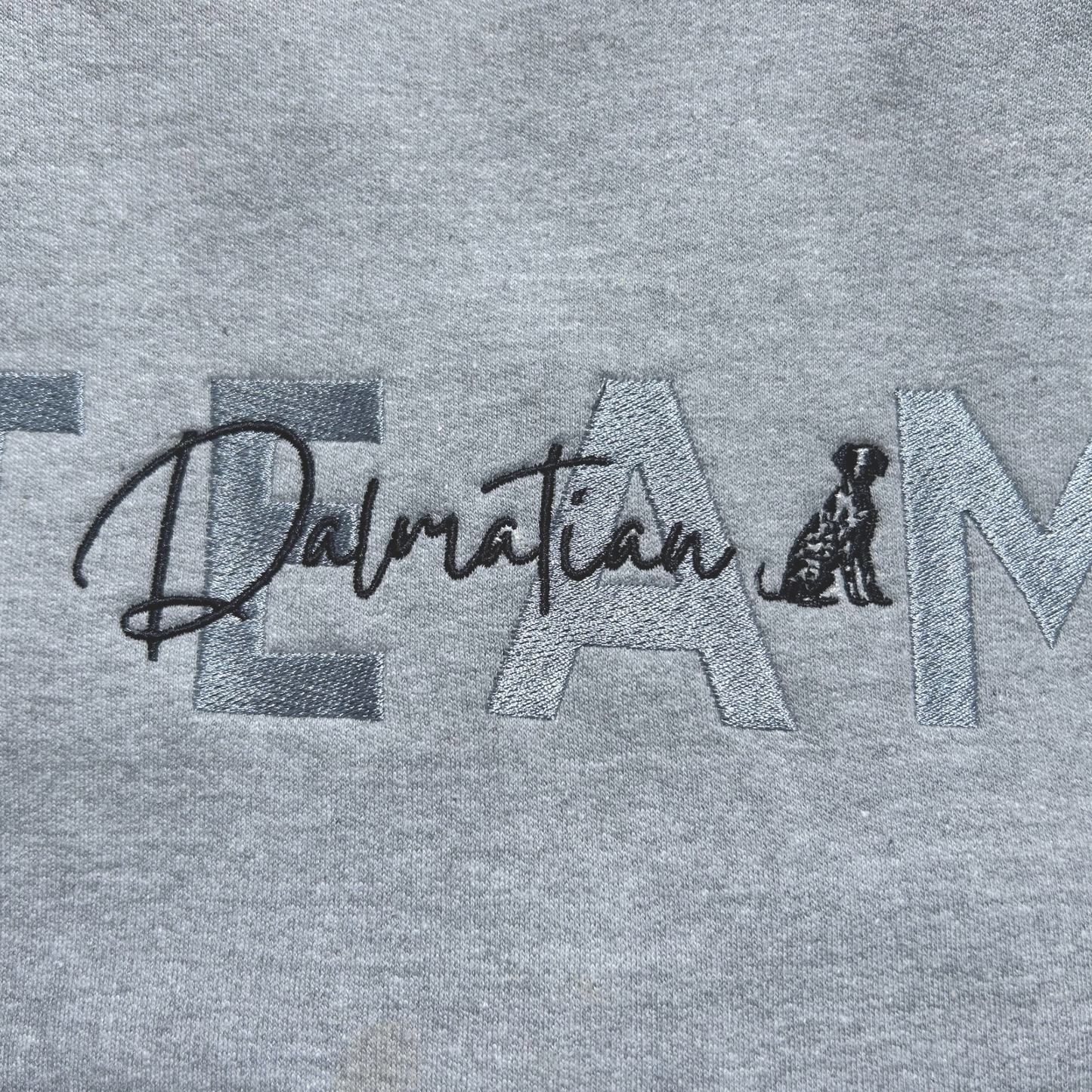 Team Dalmatian